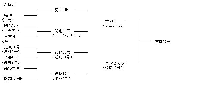西南97号