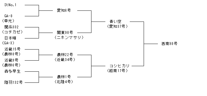 西南98号