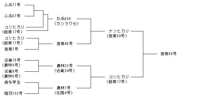 西南99号