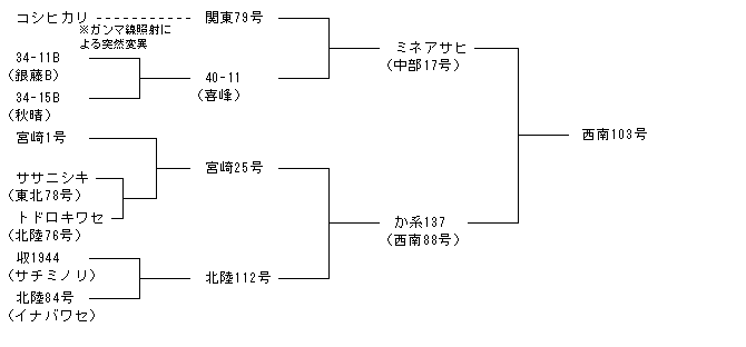 西南103号