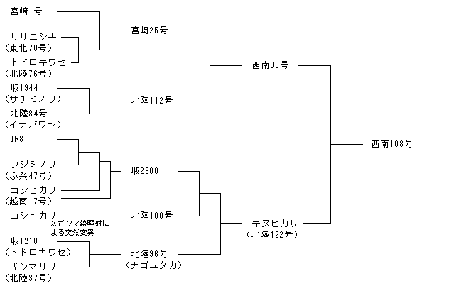 西南108号