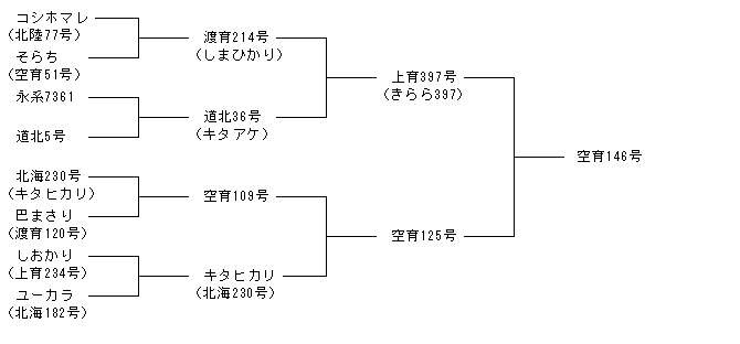 空育146号