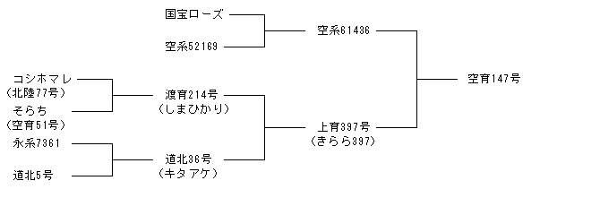 空育147号