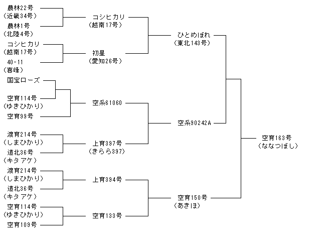 空育163号