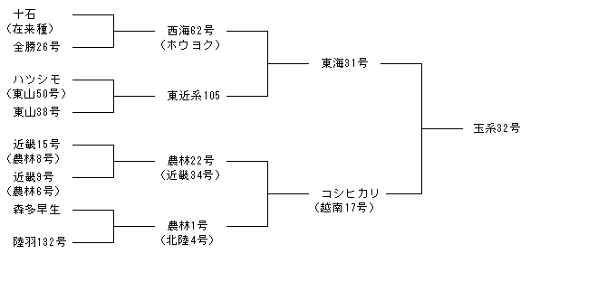 玉系32号
