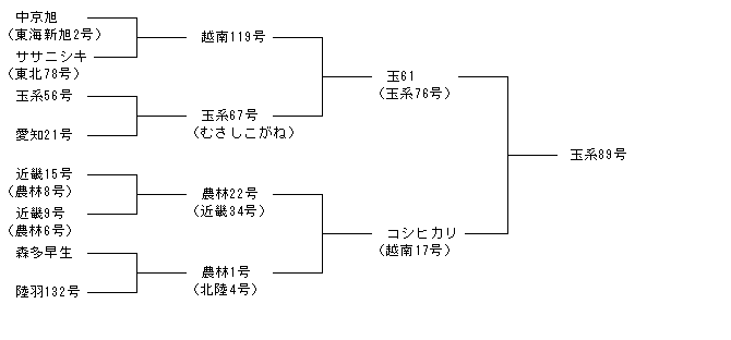 玉系89号