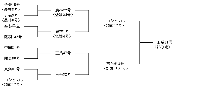 玉系91号