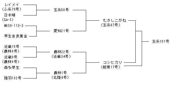 玉系101号