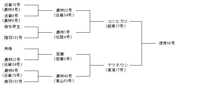 徳育36号