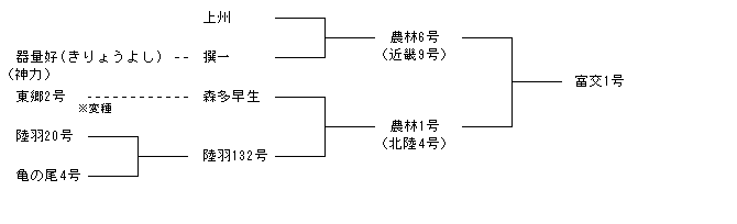 富交1号