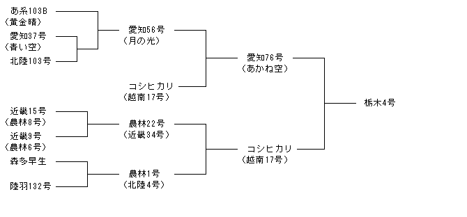 栃木4号