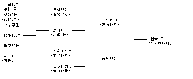 栃木7号