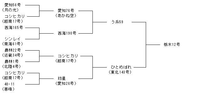 栃木12号