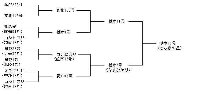 栃木19号