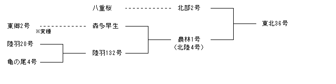 東北36号