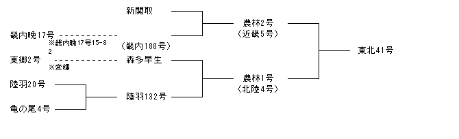 東北41号