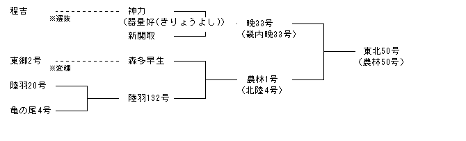 東北50号