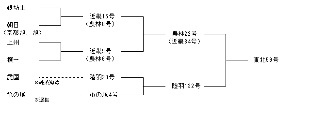 東北59号