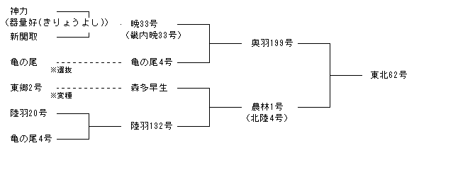 東北62号
