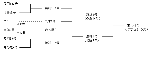 東北63号