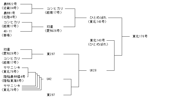 東北176号