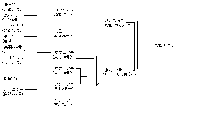 東北IL12号