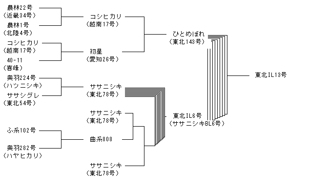 東北IL13号