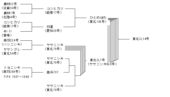 東北IL14号