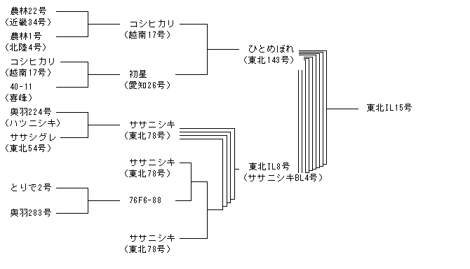 東北IL15号
