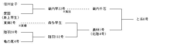 と系6号