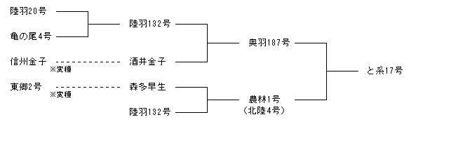 と系17号