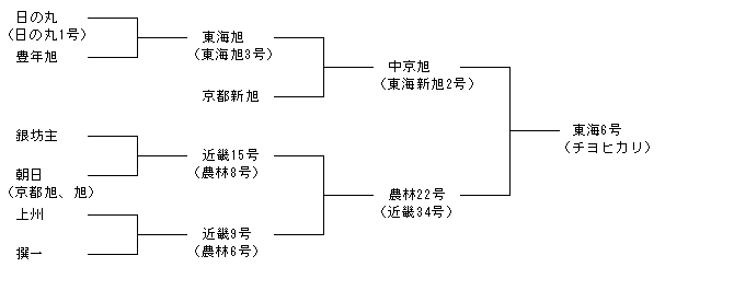 東海6号