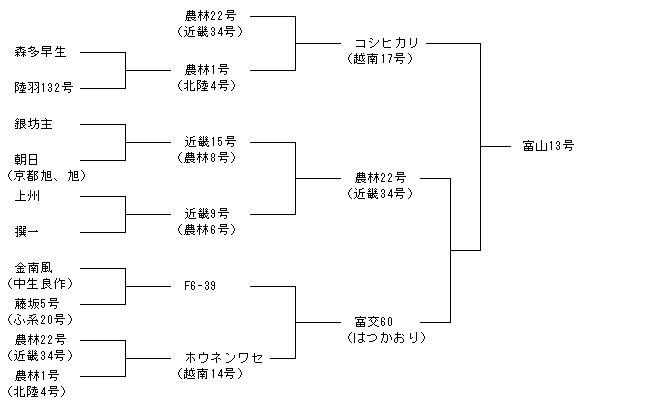 富山13号