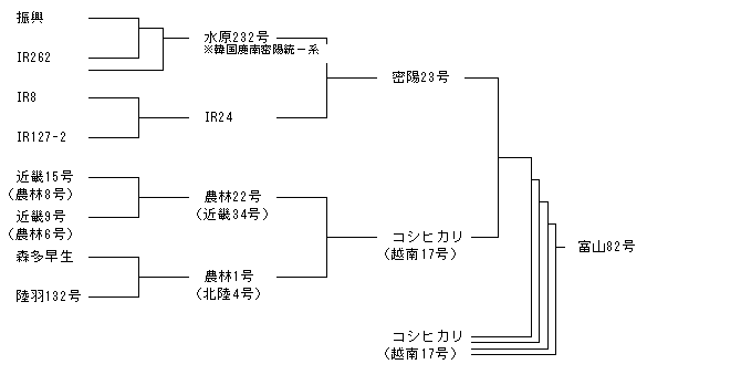 富山82号