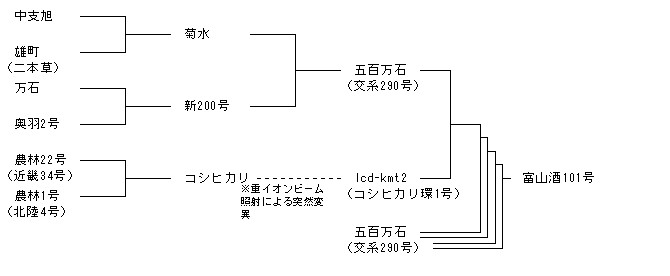 富山酒101号