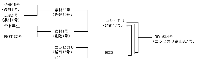 富山BL4号