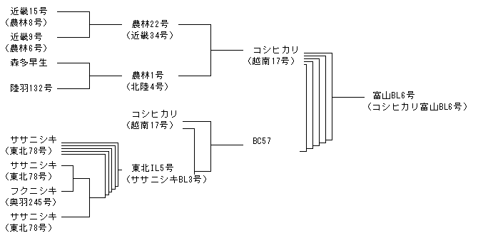 富山BL6号