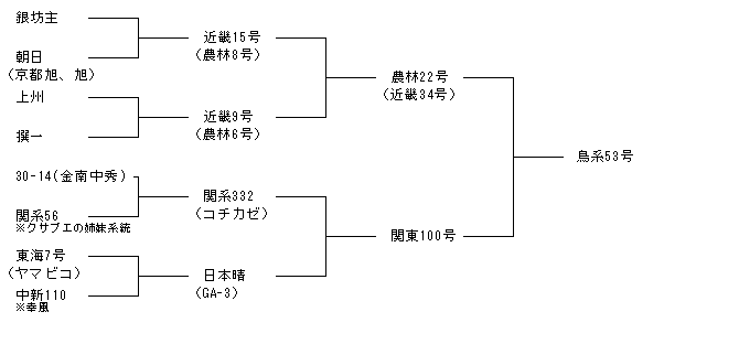鳥系53号