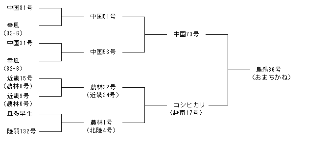 鳥系66号