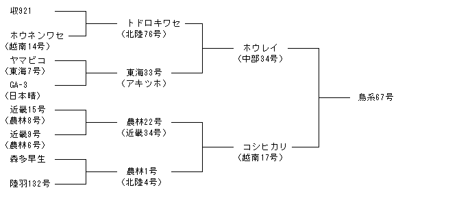 鳥系67号