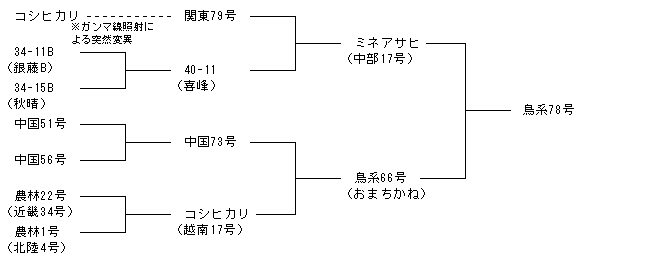 鳥系78号