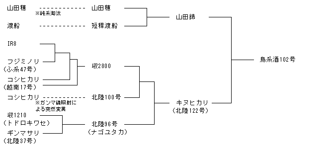 鳥系酒102号