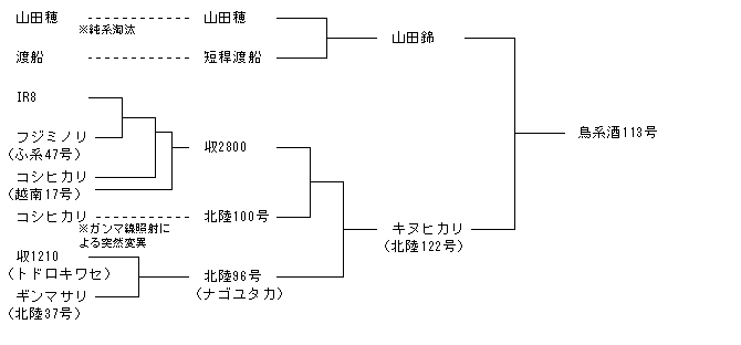 鳥系酒113号