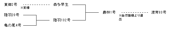 渡育83号