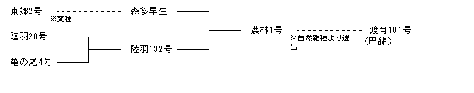 渡育101号