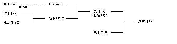 渡育117号