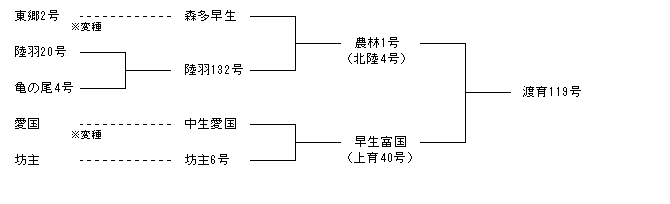 渡育119号