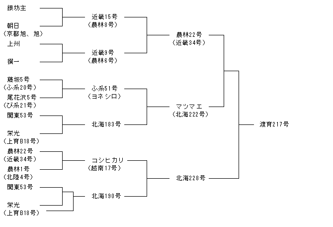 渡育217号