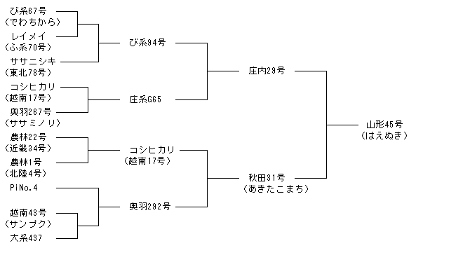 山形45号