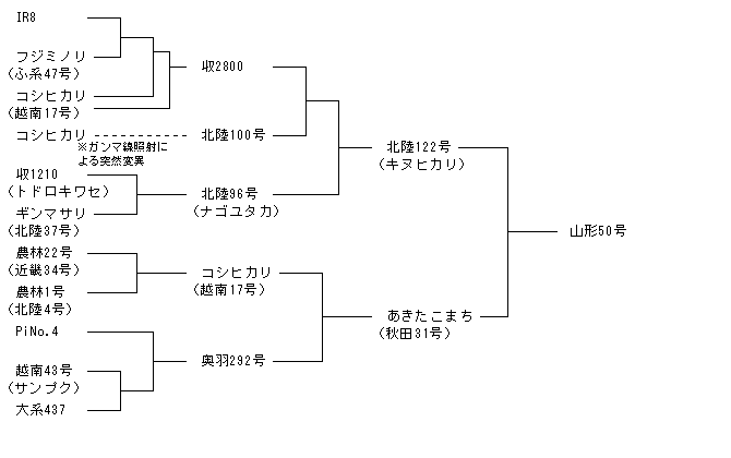 山形50号